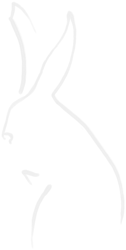 rabbitdesign